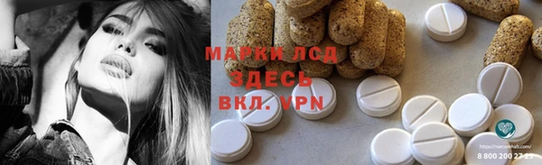 винт Лагань