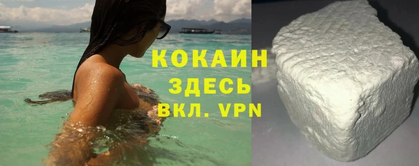 винт Лагань