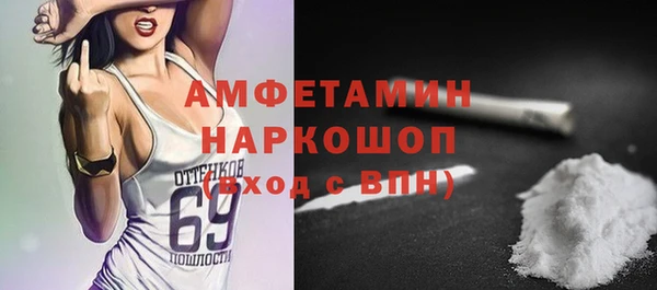 винт Лагань