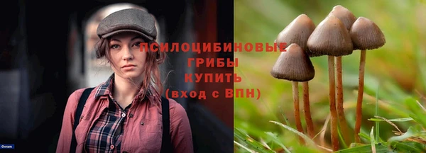 винт Лагань