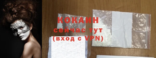винт Лагань