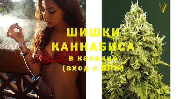 шишки Ладушкин