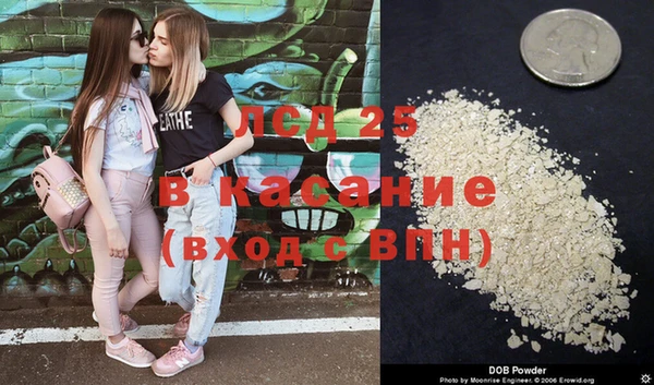 винт Лагань