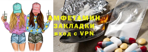 шишки Ладушкин