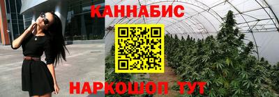 сатива Партизанск