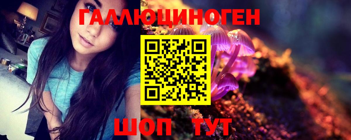 Галлюциногенные грибы Psilocybine cubensis  Галлюциногенные грибы GOLDEN TEACHER  Вход с VPN  Евпатория 