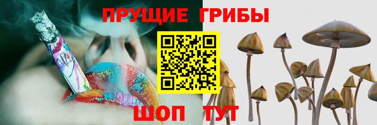 Галлюциногенные грибы Cubensis Евпатория